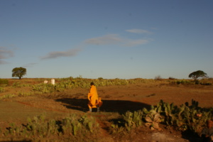 Dlaczego warto zaangażować się z zbiórkę na budowę studni na Madagaskarze