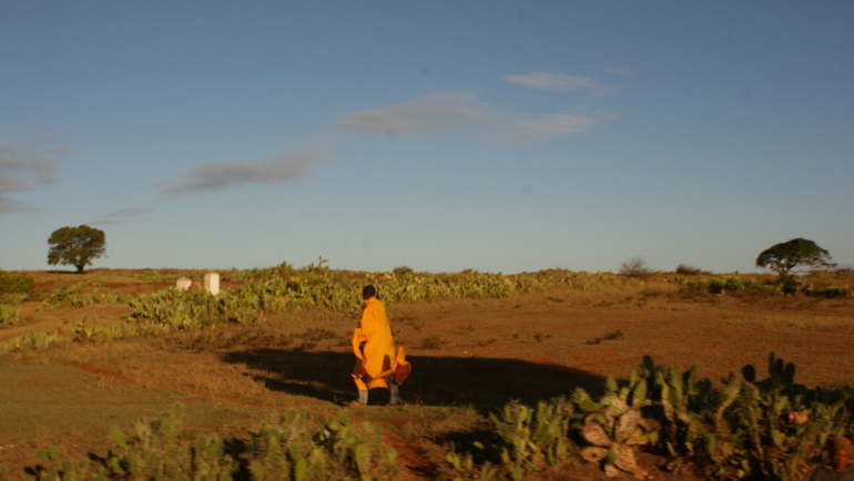 Dlaczego powinniśmy zaangażować się w zbiórkę na budowę studni na Madagaskarze?