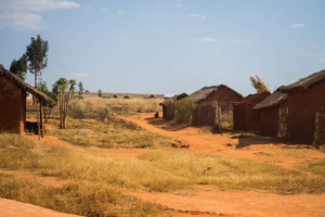 Susza na Madagaskarze