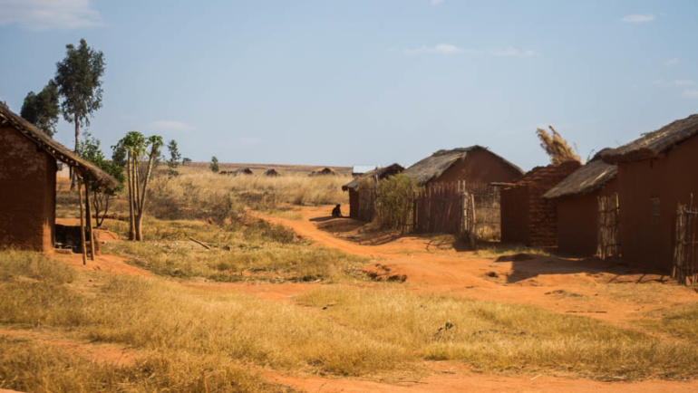 [ROZMOWA] Susza na Madagaskarze? Potrzebujemy długoterminowych rozwiązań